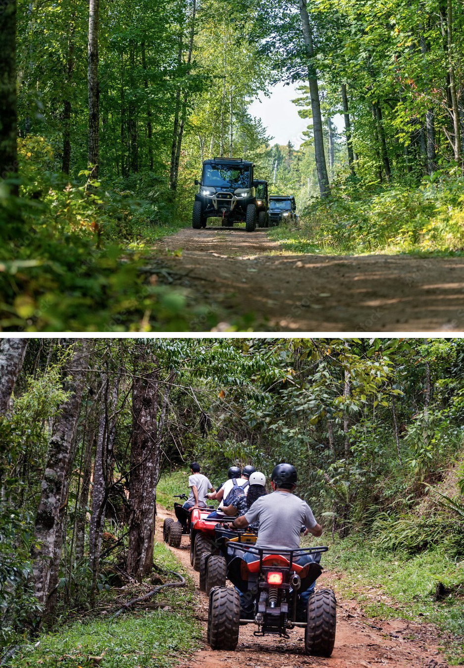 εξερυνήστε τα δάση της ευρυτανιας με atv η 4x4 buggy. Mythica Chalet Καρπενήσι